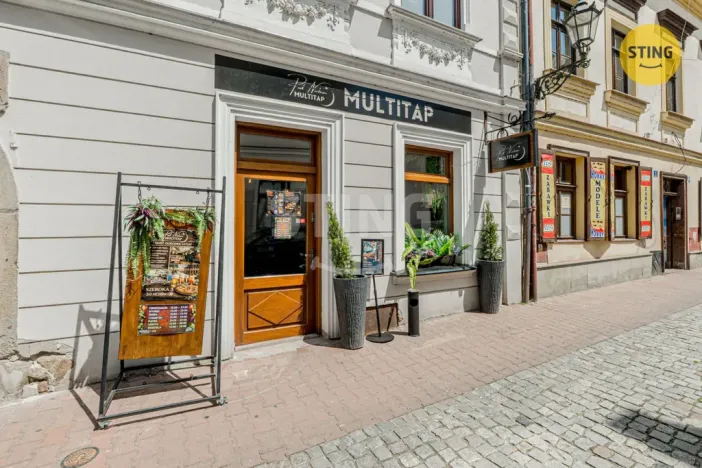 Prodej komerční nemovitosti, Český Těšín, 84 m2