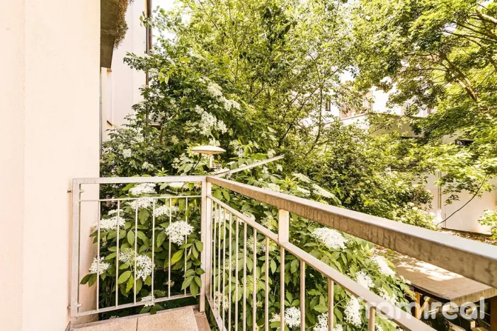 Pronájem bytu 2+1, Brno, Reissigova, 60 m2