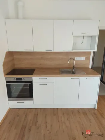 Prodej bytu 1+kk, Plzeň - Jižní Předměstí, Železná, 46 m2
