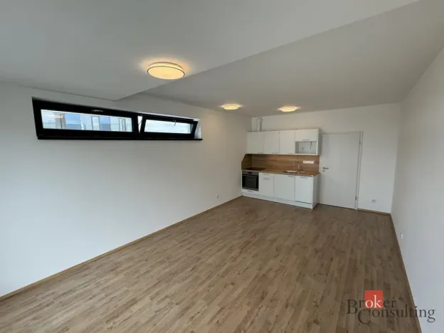 Prodej bytu 1+kk, Plzeň - Jižní Předměstí, Železná, 46 m2