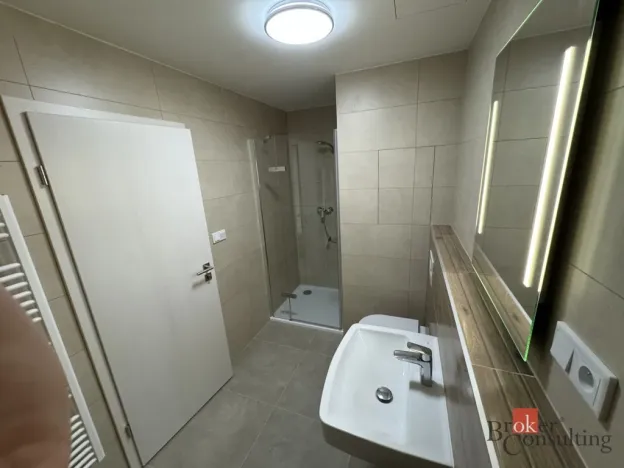 Prodej bytu 1+kk, Plzeň - Jižní Předměstí, Železná, 46 m2