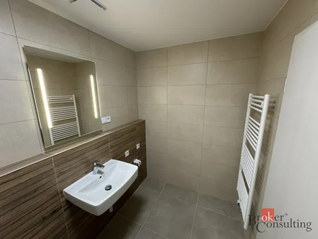 Prodej bytu 1+kk, Plzeň - Jižní Předměstí, Železná, 46 m2
