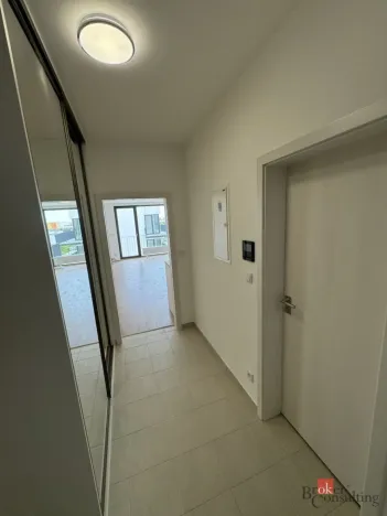 Prodej bytu 1+kk, Plzeň - Jižní Předměstí, Železná, 46 m2