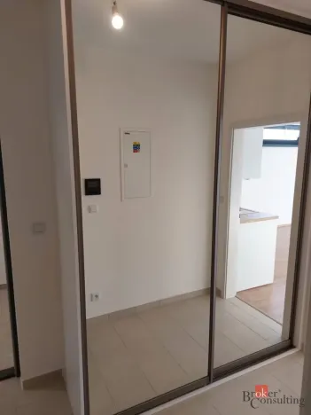 Prodej bytu 1+kk, Plzeň - Jižní Předměstí, Železná, 46 m2
