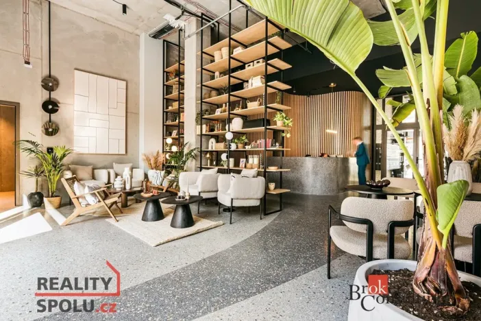 Pronájem bytu 1+kk, Brno - Zábrdovice, Bratislavská, 29 m2
