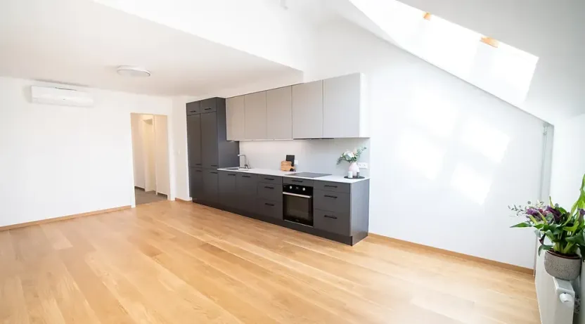 Pronájem bytu 2+kk, Praha - Žižkov, Jeronýmova, 68 m2