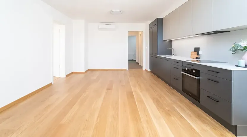 Pronájem bytu 2+kk, Praha - Žižkov, Jeronýmova, 68 m2