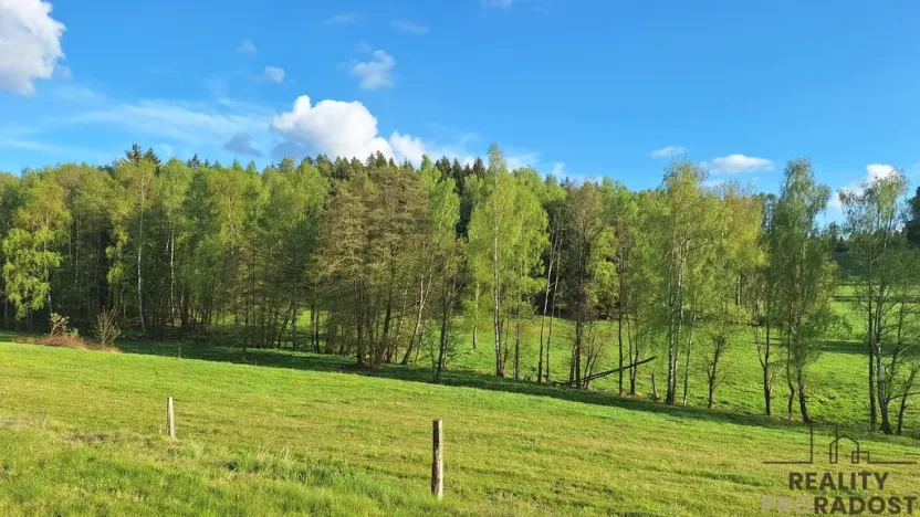 Prodej rodinného domu, Borovnička, 95 m2