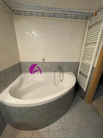 Pronájem bytu 1+1, Olomouc, Dolní hejčínská, 42 m2