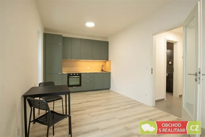 Pronájem bytu 1+kk, Praha, Štěchovická, 45 m2