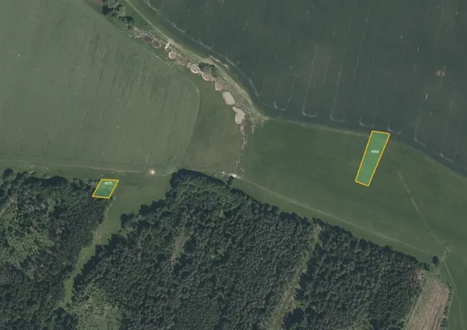 Prodej louky, Křenovice, 2785 m2