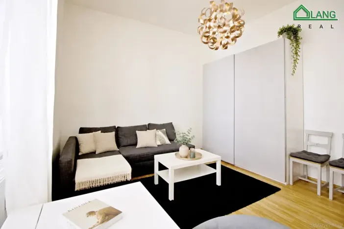 Pronájem bytu 1+kk, Brno, Koliště, 25 m2
