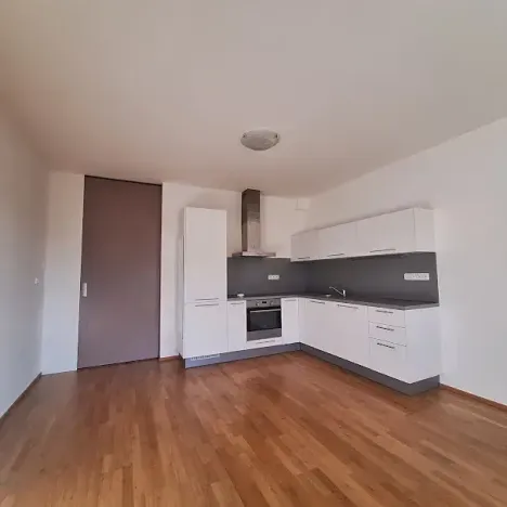 Pronájem bytu 1+1, Praha - Smíchov, Fráni Šrámka, 44 m2