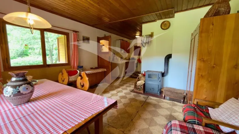 Pronájem chaty, Planá, Vížka, 36 m2