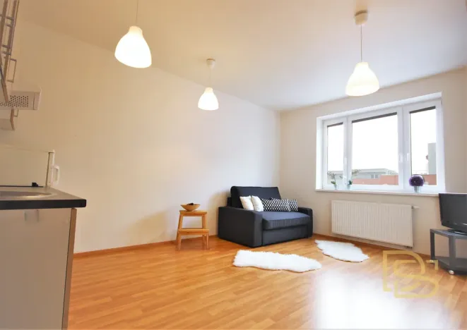 Pronájem bytu 1+kk, Brno - Žebětín, Říčanská, 27 m2