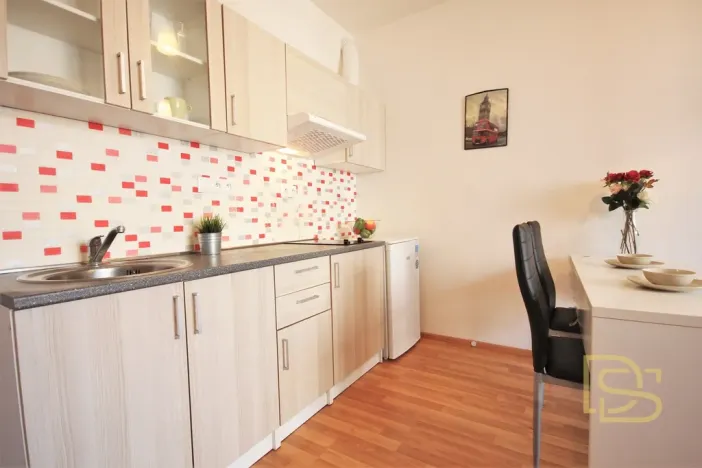 Pronájem bytu 1+kk, Brno - Žebětín, Říčanská, 27 m2