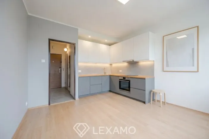 Prodej bytu 1+kk, Znojmo, Mičurinova, 20 m2