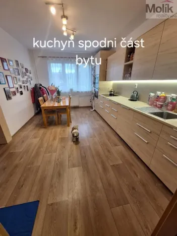 Prodej bytu 4+1, Most, Obránců míru, 115 m2
