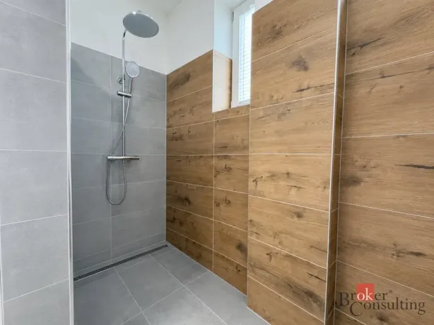 Pronájem bytu 4+kk, Opava - Předměstí, Na Nábřeží, 111 m2