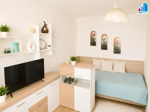 Pronájem bytu 1+kk, Plzeň - Jižní Předměstí, Čechova, 23 m2