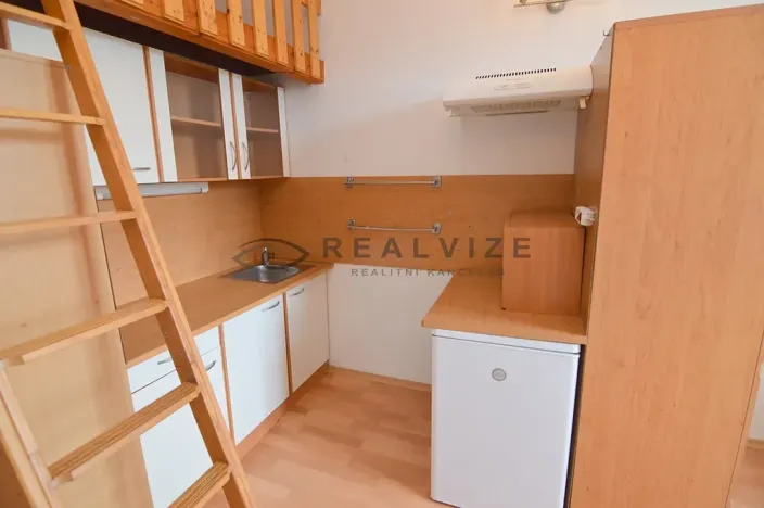 Pronájem bytu 1+kk, České Budějovice, Šumavská, 21 m2
