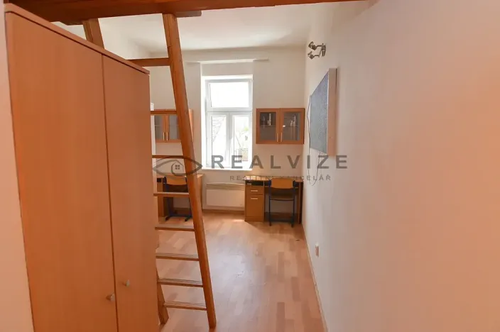 Pronájem bytu 1+kk, České Budějovice, Šumavská, 21 m2