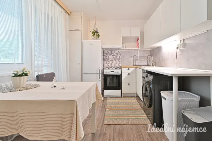 Pronájem bytu 1+1, Brno, Rerychova, 41 m2