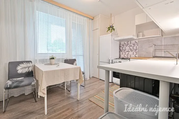 Pronájem bytu 1+1, Brno, Rerychova, 41 m2