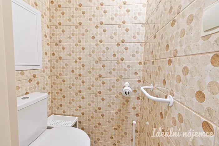 Pronájem bytu 1+1, Brno, Rerychova, 41 m2