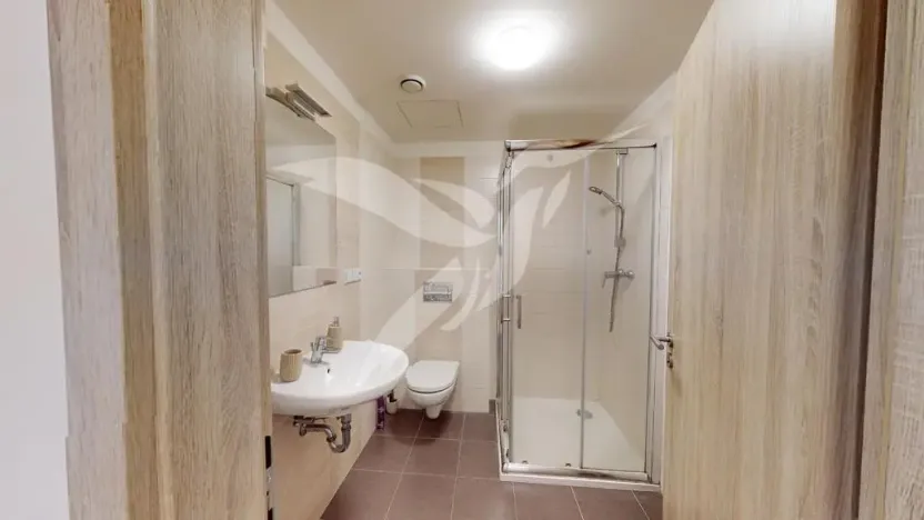 Pronájem bytu 1+kk, Plzeň, Špačková, 32 m2