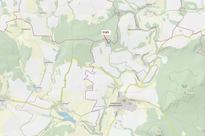 Dražba lesa, Louňovice pod Blaníkem, 4236 m2