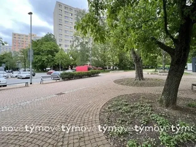 Pronájem bytu 1+kk, Pardubice, Družby, 35 m2