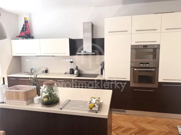 Pronájem bytu 3+kk, Brno - Veveří, Antonínská, 76 m2