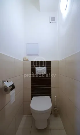 Pronájem bytu 3+kk, Brno - Veveří, Antonínská, 76 m2
