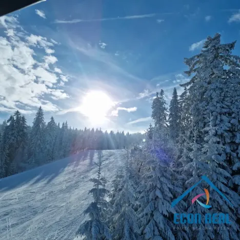 Prodej bytu 1+kk, Loučná pod Klínovcem - Loučná, 37 m2