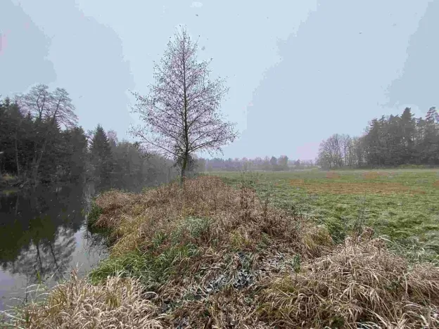 Prodej pozemku, Jindřichův Hradec - Horní Žďár, 16799 m2