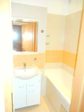 Prodej bytu 1+1, Praha - Karlín, Křižíkova, 45 m2