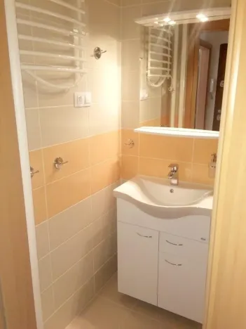 Prodej bytu 1+1, Praha - Karlín, Křižíkova, 45 m2