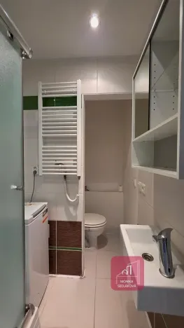 Prodej bytu 1+kk, Brno, Vltavská, 30 m2