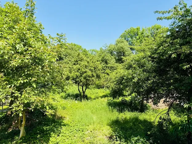 Prodej pozemku pro bydlení, Přišimasy, Skřivanská, 2458 m2