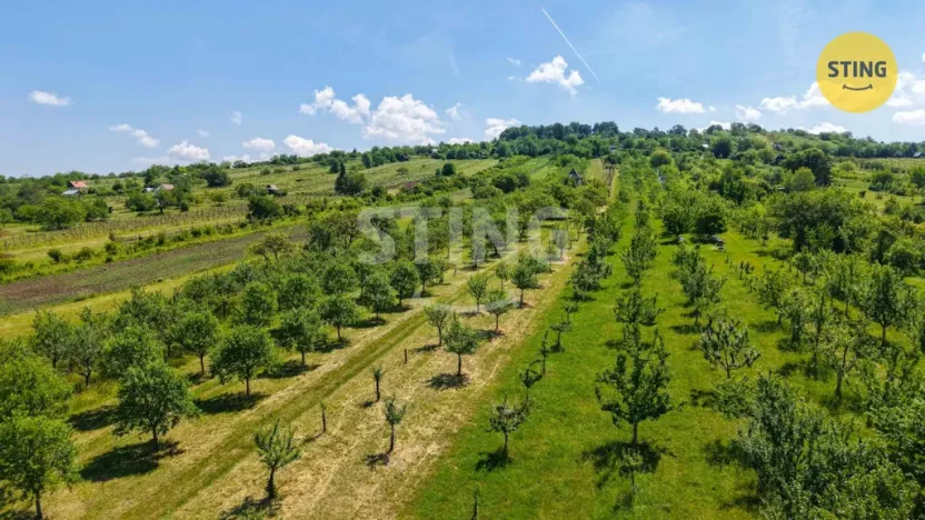 Prodej sadu/vinice, Strážnice, 4353 m2