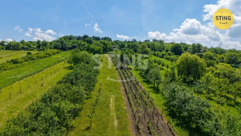 Prodej sadu/vinice, Strážnice, 4353 m2