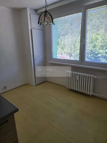 Pronájem bytu 1+1, Jirkov, Krušnohorská, 41 m2