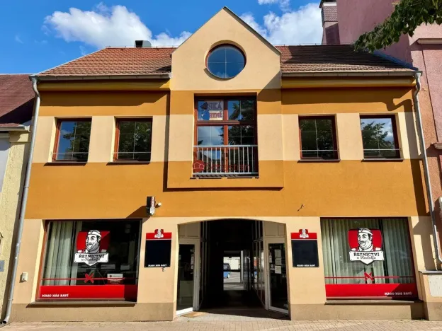 Pronájem bytu 1+1, Litvínov - Horní Litvínov, náměstí Míru, 64 m2