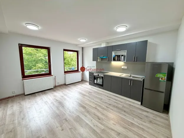 Pronájem bytu 1+kk, Litvínov - Horní Litvínov, náměstí Míru, 60 m2