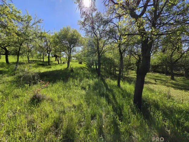 Prodej zahrady, Brno - Židenice, 847 m2