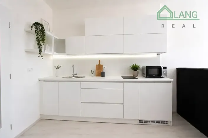 Pronájem bytu 1+kk, Brno, Rybářská, 31 m2