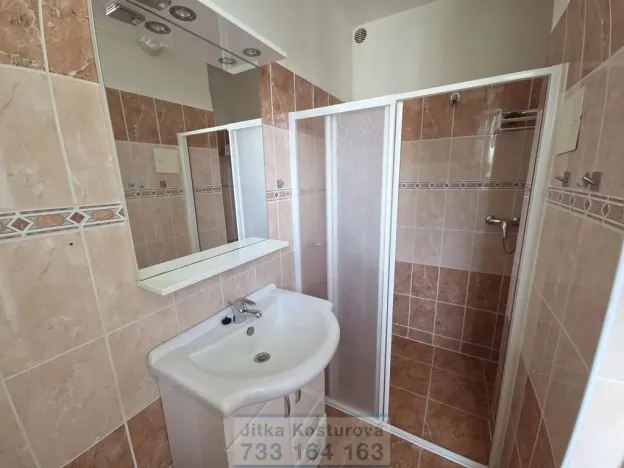 Prodej bytu 2+1, Opava - Předměstí, Sadová, 62 m2