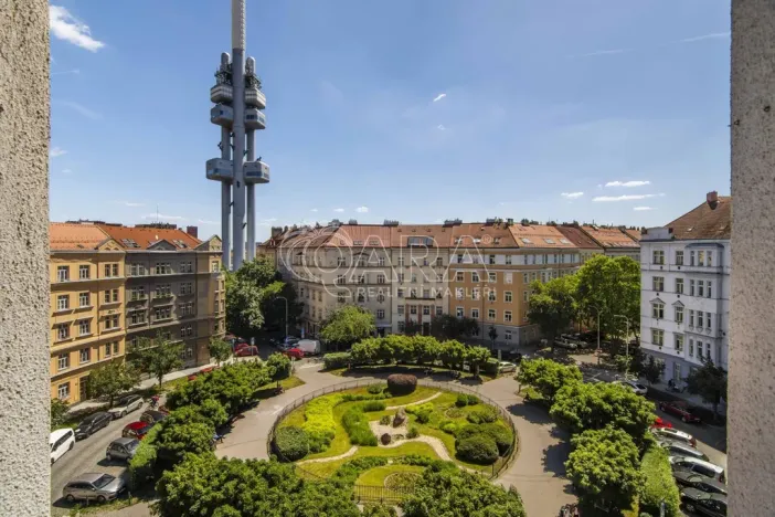 Prodej bytu 2+1, Praha - Žižkov, Škroupovo náměstí, 102 m2