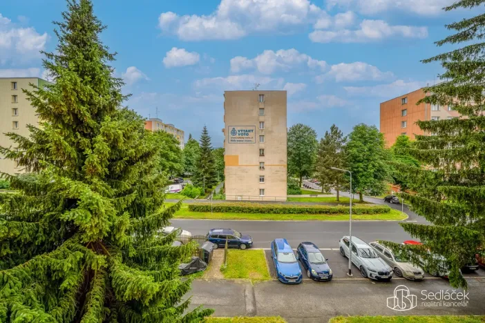 Prodej bytu 3+1, Sokolov, Švabinského, 63 m2